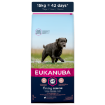 EUKANUBA Senior Large Breed 15kg