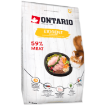 ONTARIO Cat Exigent 2kg