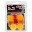 Krmivo REPTI PLANET Jelly Pots Fruit 8ks