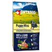 ONTARIO Puppy Mini Lamb & Rice 6,5kg