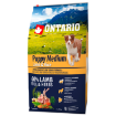 ONTARIO Puppy Medium Lamb & Rice 6,5kg