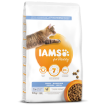 IAMS for Vitality Dental Cat Food with Fresh Chicken 10kg