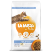 IAMS for Vitality Dental Cat Food with Fresh Chicken 10kg