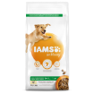 IAMS Dog Adult Large Chicken 3kg