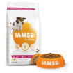 IAMS Dog Senior Small & Medium Chicken 3kg