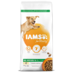 IAMS Dog Adult Large Chicken 12kg