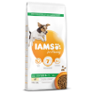 IAMS Dog Adult Small & Medium Chicken 12kg