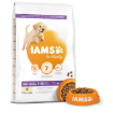 IAMS Dog Puppy Large Chicken 12kg