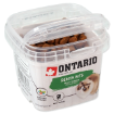 Snack ONTARIO Cat Dental Bits 75g