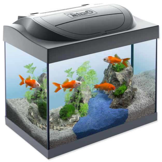 Akvárium set Tetra Starter Goldfish Line LED 44 x 37 x 30 cm 30l