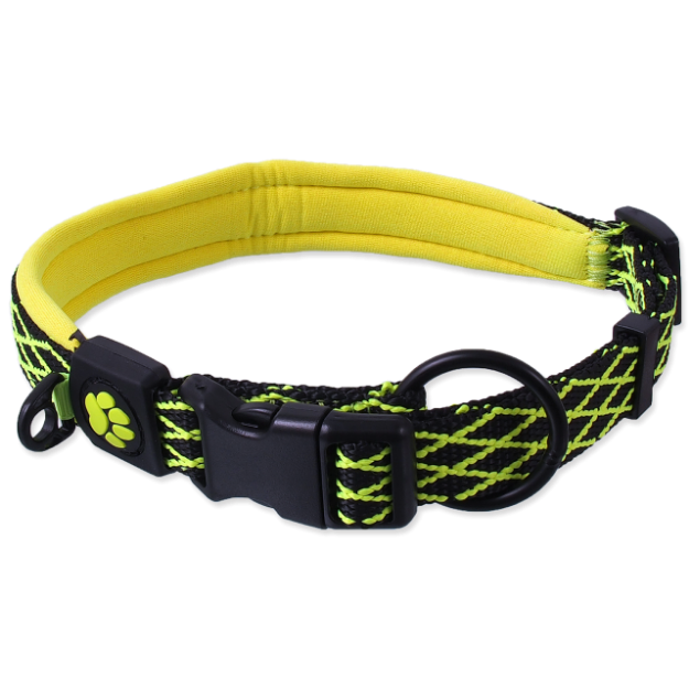 Obojek ACTIVE DOG Mystic limetka S 