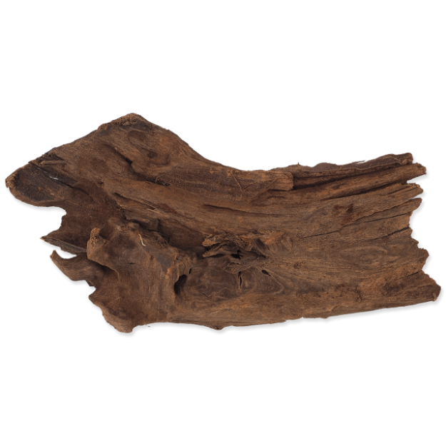 Koren REPTI PLANET DriftWood Bulk S 