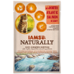 Kapsicka IAMS Cat Naturally with North Atlantic Salmon in Gravy 85g