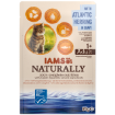 Kapsicka IAMS Cat Naturally with Atlantic Herring in Gravy 85g