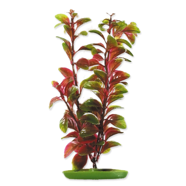 Obrázek Rostlina LIVING WORLD Red Ludwigia 30 cm 